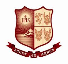 St. Aloysius Institute of Management & Information Technology Logo